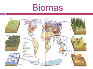 Biomas
 