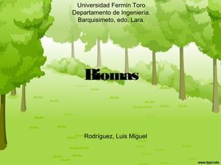 Biomas
Universidad Fermín Toro
Departamento de Ingeniería.
Barquisimeto, edo. Lara.
Rodríguez, Luis Miguel
 