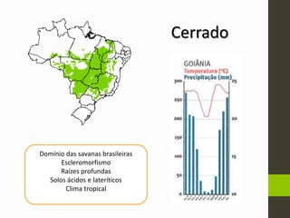 Cerrado
Domínio das savanas brasileiras
Escleromorfismo
Raízes profundas
Solos ácidos e lateríticos
Clima tropical
 
