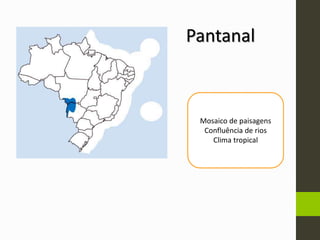 Pantanal
Mosaico de paisagens
Confluência de rios
Clima tropical
 