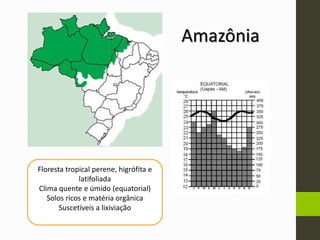 Floresta tropical perene, higrófita e
latifoliada
Clima quente e úmido (equatorial)
Solos ricos e matéria orgânica
Suscetíveis a lixiviação
Amazônia
 