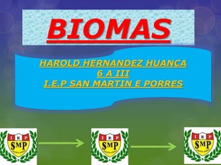 BIOMAS
HAROLD HERNANDEZ HUANCA
6 A III
I.E.P SAN MARTIN E PORRES
 