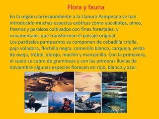 Flora y fauna
En la región correspondiente a la Llanura Pampeana se han
introducido muchas especies exóticas como eucaliptos, pinos,
fresnos y paraísos cultivados con fines forestales, y
ornamentales que transforman el paisaje original.
Los pastizales pampeanos se componen de cebadilla criolla,
paja voladora, flechilla negra, romerillo blanco, carqueja, yerba
de oveja, trébol, abrojo, machín y manzanilla. Con la primavera,
el suelo se cubre de gramíneas y con las primeras lluvias de
noviembre algunas especies florecen en rojo, blanco y azul.
 