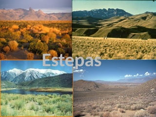 Estepas