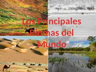 Los Principales
Biomas del
Mundo
