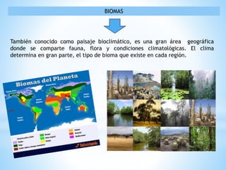 BIOMAS
También conocido como paisaje bioclimático, es una gran área geográfica
donde se comparte fauna, flora y condiciones climatológicas. El clima
determina en gran parte, el tipo de bioma que existe en cada región.
 