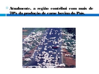  Atualmente, a região contribui com mais de
70% da produção de carne bovina do País.
 