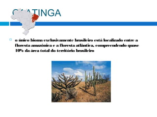CAATINGA
 o único bioma exclusivamente brasileiro está localizado entre a
floresta amazônica e a floresta atlântica, compreendendo quase
10% da área total do território brasileiro
 