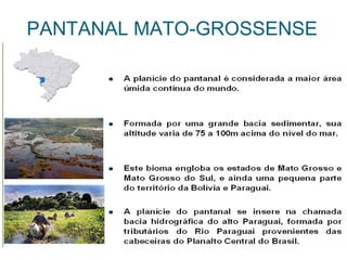 PANTANAL MATO-GROSSENSE
 