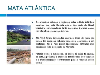 MATA ATLÂNTICA
 