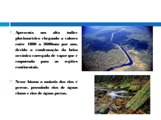  Apresenta um alto índice
pluviométrico chegando a valores
entre 1800 a 3600mm por ano,
devido a condensação da brisa
oceânica carregada de vapor que é
empurrada para as regiões
continentais.
 Nesse bioma a maioria dos rios é
perene, possuindo rios de águas
claras e rios de águas pretas.
 