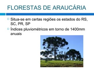 FLORESTAS DE ARAUCÁRIA
 Situa-se em certas regiões os estados do RS,
SC, PR, SP
 Índices pluviométricos em torno de 1400mm
anuais
 