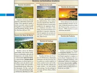 Biomas.dominiosmorfoclimaticos