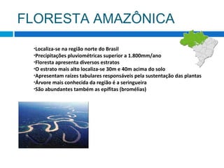 FLORESTA AMAZÔNICA
•Localiza-se na região norte do Brasil
•Precipitações pluviométricas superior a 1.800mm/ano
•Floresta apresenta diversos estratos
•O estrato mais alto localiza-se 30m e 40m acima do solo
•Apresentam raízes tabulares responsáveis pela sustentação das plantas
•Árvore mais conhecida da região é a seringueira
•São abundantes também as epífitas (bromélias)
 