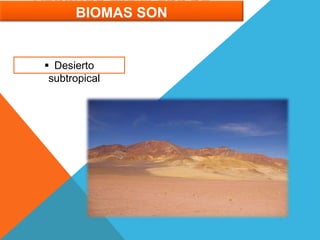 ALGUNOS EJEMPLOS DE
BIOMAS SON
 Desierto
subtropical
 
