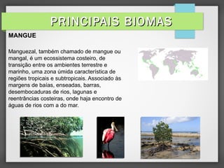MANGUE
Manguezal, também chamado de mangue ou
mangal, é um ecossistema costeiro, de
transição entre os ambientes terrestre e
marinho, uma zona úmida característica de
regiões tropicais e subtropicais. Associado às
margens de baías, enseadas, barras,
desembocaduras de rios, lagunas e
reentrâncias costeiras, onde haja encontro de
águas de rios com a do mar.
PRINCIPAIS BIOMASPRINCIPAIS BIOMAS
 