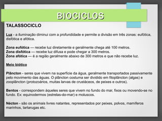 TALASSOCICLO
Luz - a iluminação diminui com a profundidade e permite a divisão em três zonas: eufótica,
disfótica e afótica.
Zona eufótica — recebe luz diretamente e geralmente chega até 100 metros.
Zona disfótica — recebe luz difusa e pode chegar a 300 metros.
Zona afótica — é a região geralmente abaixo de 300 metros e que não recebe luz.
Meio biótico
Plâncton - seres que vivem na superfície da água, geralmente transportados passivamente
pelo movimento das águas. O plâncton costuma ser dividido em fitoplâncton (algas) e
zooplâncton (protozoários, muitas larvas de crustáceos, de peixes e outros).
Bentos - correspondem àqueles seres que vivem no fundo do mar, fixos ou movendo-se no
fundo. Ex: equinodermos (estrelas-do-mar) e moluscos.
Nécton - são os animais livres natantes, representados por peixes, polvos, mamíferos
marinhos, tartarugas etc.
BIOCICLOSBIOCICLOS
 