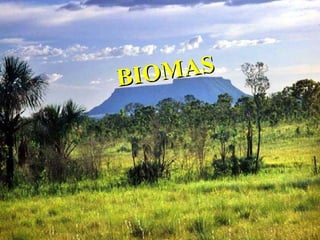 BIOMASBIOMAS
 