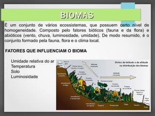 BIOMASBIOMAS
É um conjunto de vários ecossistemas, que possuem certo nível de
homogeneidade. Composto pelo fatores bióticos (fauna e da flora) e
abióticos (vento, chuva, luminosidade, umidade). De modo resumido, é o
conjunto formado pela fauna, flora e o clima local.
FATORES QUE INFLUENCIAM O BIOMA
- Umidade relativa do ar
- Temperatura
- Solo
- Luminosidade
 