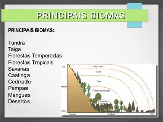 PRINCIPAIS BIOMAS:
Tundra
Taiga
Florestas Temperadas
Florestas Tropicais
Savanas
Caatinga
Cedrrado
Pampas
Mangues
Desertos
PRINCIPAIS BIOMASPRINCIPAIS BIOMAS
 