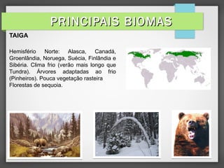 TAIGA
Hemisfério Norte: Alasca, Canadá,
Groenlândia, Noruega, Suécia, Finlândia e
Sibéria. Clima frio (verão mais longo que
Tundra). Árvores adaptadas ao frio
(Pinheiros). Pouca vegetação rasteira
Florestas de sequoia.
PRINCIPAIS BIOMASPRINCIPAIS BIOMAS
 