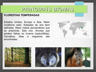 FLORESTAS TEMPERADAS
Estados Unidos, Europa e Ásia. Maior
incidência solar. Estações do ano bem
definidas. Maior indicie pluviométrico que
os anteriores. Solo rico. Árvores que
perdem folhas no inverno (caducifólias).
Carvalhos, faias e nogueiras são
encontradas.
PRINCIPAIS BIOMASPRINCIPAIS BIOMAS
 