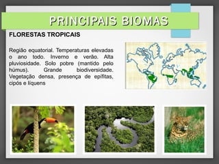 FLORESTAS TROPICAIS
Região equatorial. Temperaturas elevadas
o ano todo. Inverno e verão. Alta
pluviosidade. Solo pobre (mantido pelo
húmus). Grande biodiversidade.
Vegetação densa, presença de epífitas,
cipós e líquens
PRINCIPAIS BIOMASPRINCIPAIS BIOMAS
 