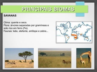 SAVANAS
Clima: quente e seco.
Flora: árvores separadas por gramíneas e
solo rico em ferro (Fe).
Faunas: leão, elefante, antílope e zebra...
PRINCIPAIS BIOMASPRINCIPAIS BIOMAS
 