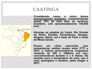 CAATINGA
• Considerado como o único bioma
exclusivamente brasileiro, compreendendo
quase 10% da área total do território
brasileiro, com aproximadamente 740.000
km2.
• Abrange os estados do Ceará, Rio Grande
do Norte, Paraíba, Pernambuco, Sergipe,
Alagoas, Bahia, sul e leste do Piauí e norte
de Minas Gerais.
• Possui um clima semi-árido com
temperaturas médias anuais entre 27ºC e
29ºC, e índices pluviométricos irregulares
variando de 250 a 1000mm por ano,
concentrando-se durante 3 a 5 meses. Na
estação seca a temperatura do solo, que é
raso, pedregoso e alcalino, pode chegar a
60ºC.
 