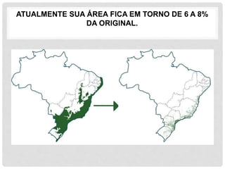ATUALMENTE SUA ÁREA FICA EM TORNO DE 6 A 8%
DA ORIGINAL.
 