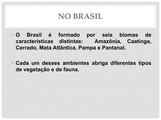 NO BRASIL
• O Brasil é formado por seis biomas de
características distintas: Amazônia, Caatinga,
Cerrado, Mata Atlântica, Pampa e Pantanal.
• Cada um desses ambientes abriga diferentes tipos
de vegetação e de fauna.
 