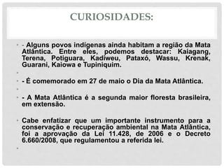 CURIOSIDADES:
• - Alguns povos indígenas ainda habitam a região da Mata
Atlântica. Entre eles, podemos destacar: Kaiagang,
Terena, Potiguara, Kadiweu, Pataxó, Wassu, Krenak,
Guarani, Kaiowa e Tupiniquim.
•
• - É comemorado em 27 de maio o Dia da Mata Atlântica.
•
• - A Mata Atlântica é a segunda maior floresta brasileira,
em extensão.
• Cabe enfatizar que um importante instrumento para a
conservação e recuperação ambiental na Mata Atlântica,
foi a aprovação da Lei 11.428, de 2006 e o Decreto
6.660/2008, que regulamentou a referida lei.
•
 