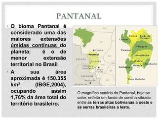 PANTANAL
• O bioma Pantanal é
considerado uma das
maiores extensões
úmidas contínuas do
planeta; é o de
menor extensão
territorial no Brasil
• A sua área
aproximada é 150.355
km² (IBGE,2004),
ocupando assim
1,76% da área total do
território brasileiro.
O magnífico cenário do Pantanal, hoje se
sabe, enfeita um fundo de concha situado
entre as terras altas bolivianas a oeste e
as serras brasileiras a leste.
 