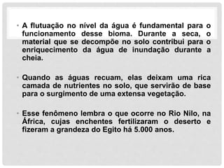 • A flutuação no nível da água é fundamental para o
funcionamento desse bioma. Durante a seca, o
material que se decompõe no solo contribui para o
enriquecimento da água de inundação durante a
cheia.
• Quando as águas recuam, elas deixam uma rica
camada de nutrientes no solo, que servirão de base
para o surgimento de uma extensa vegetação.
• Esse fenômeno lembra o que ocorre no Rio Nilo, na
África, cujas enchentes fertilizaram o deserto e
fizeram a grandeza do Egito há 5.000 anos.
 