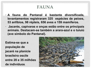 FAUNA
• A fauna do Pantanal é bastante diversificada,
levantamentos registraram 325 espécies de peixes,
53 anfíbios, 98 répteis, 656 aves e 159 mamíferos.
• Jacarés, capivaras e onças estão entre os principais
animais. Destacam-se também a arara-azul e o tuiuiú
(ave símbolo do Pantanal).
Estima-se que a
população de
jacaré na planície
brasileira oscile
entre 20 e 35 milhões
de indivíduos.
 