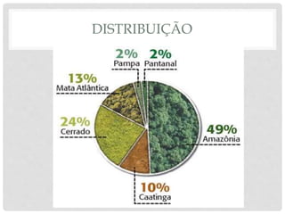 DISTRIBUIÇÃO
 