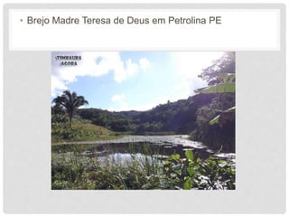 • Brejo Madre Teresa de Deus em Petrolina PE
 