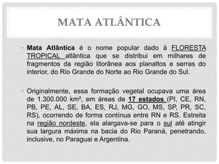 MATA ATLÂNTICA
• Mata Atlântica é o nome popular dado à FLORESTA
TROPICAL atlântica que se distribui em milhares de
fragmentos da região litorânea aos planaltos e serras do
interior, do Rio Grande do Norte ao Rio Grande do Sul.
• Originalmente, essa formação vegetal ocupava uma área
de 1.300.000 km², em áreas de 17 estados (PI, CE, RN,
PB, PE, AL, SE, BA, ES, RJ, MG, GO, MS, SP, PR, SC,
RS), ocorrendo de forma contínua entre RN e RS. Estreita
na região nordeste, ela alargava-se para o sul até atingir
sua largura máxima na bacia do Rio Paraná, penetrando,
inclusive, no Paraguai e Argentina.
 
