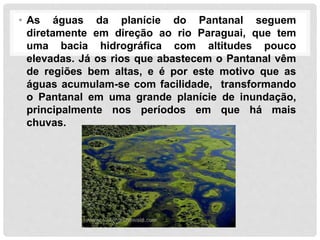 • As águas da planície do Pantanal seguem
diretamente em direção ao rio Paraguai, que tem
uma bacia hidrográfica com altitudes pouco
elevadas. Já os rios que abastecem o Pantanal vêm
de regiões bem altas, e é por este motivo que as
águas acumulam-se com facilidade, transformando
o Pantanal em uma grande planície de inundação,
principalmente nos períodos em que há mais
chuvas.
 