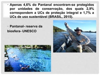 • Apenas 4,6% do Pantanal encontram-se protegidos
por unidades de conservação, dos quais 2,9%
correspondem a UCs de proteção integral e 1,7% a
UCs de uso sustentável (BRASIL, 2015).
• Pantanal- reserva da
biosfera- UNESCO
 