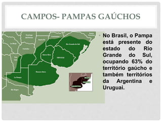 CAMPOS- PAMPAS GAÚCHOS
• No Brasil, o Pampa
está presente do
estado do Rio
Grande do Sul,
ocupando 63% do
território gaúcho e
também territórios
da Argentina e
Uruguai.
 