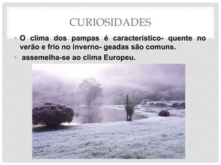 CURIOSIDADES
• O clima dos pampas é característico- quente no
verão e frio no inverno- geadas são comuns.
• assemelha-se ao clima Europeu.
 