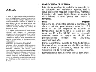 LA SELVA
• CLASIFICACIÓN DE LA SELVA
• Este bioma usualmente se divide de acuerdo con
su ubicación. Por mencionar algunas, está la
selva ecuatorial, tropical, subtropical, montana,
tropófila y de tierras bajas. Desde un punto de
vista básico, la selva puede ser tropical o
templada.
• Selva tropical.
Prospera en ambientes cálidos y húmedos de
clima ecuatorial, generalmente entre los 10 º
norte y sur con respecto al ecuador. La
temperatura puede variar a lo largo del año
entre los 21 y los 30 ºC, pero el promedio
mensual suele ser mayor de 18 ºC. Las
precipitaciones rondan los 200-1,000
centímetros al año.
• Dónde encontrarla: Sureste de Asia, Sudamérica,
Centroamérica, extremo sur de Norteamérica,
África Central y Occidental, oeste de India,
Australia e isla de Nueva Guinea.
• Ejemplos: selva del Amazonas y selva del Congo.
La selva es conocida por diversos nombres,
como jungla y bosque lluvioso. Se caracteriza
principalmente por albergar árboles de gran
altura y una extensa cantidad de especies de
fauna y flora. Se cree que es el bioma más
antiguo de la Tierra, y que su aspecto no ha
cambiado mucho durante los últimos 70
millones de años.
Se ha llegado a considerar a las selvas puntos
calientes del planeta al encontrarse
principalmente en regiones de clima tropical
y albergar la mayor parte de las especies.
Contiene los hábitats más importantes del
planeta, lo que la hace el bioma con mayor
biodiversidad.
UBICACIÓN GEOGRÁFICA DE LA SELVA
Las selvas cubren alrededor del 6 por ciento
de la superficie terrestre y se localizan en
diferentes latitudes del mundo, pero
especialmente entre el Trópico de Cáncer y el
Trópico de Capricornio. Abarcan el continente
americano, africano y asiático, llegando
también a algunas islas de Oceanía. Incluso
existen en pequeñas partes de Europa, por lo
que Antártida es el único continente exento
de ellas.
 
