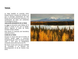 TAIGA
La taiga también es conocida como
bosque boreal o bosque de coníferas, ya
que la principal característica de este
bioma son las formaciones boscosas y la
combinación de éstas con ambientes
climatológicos frescos.
UBICACIÓN GEOGRÁFICA DE LA TAIGA
La taiga se encuentra justo debajo de la
Tundra y limita al sur con la estepa.
Abarca regiones al norte de Rusia,
Canadá, Europa y Alaska.
Este bioma es exclusivo del hemisferio
norte de la tierra.
CLIMA DE LA TAIGA
Aunque es menos frío que la tundra, el
invierno puede llegar a conservar
temperaturas de -54°C. En verano puede
subir a 19°C pero la temperatura
constante oscila entre los 0 y los 5°C.
No llueve mucho pero hay gran cantidad
de humedad y el proceso de
descomposición se da de manera muy
lenta.
 