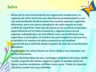 Selva
• Bioma de la zona intertropical con vegetación exuberante, en
regiones de clima isotermo con abundantes precipitaciones y con
una extraordinaria biodiversidad. Hay muchas especies vegetales
diferentes, pero con pocos ejemplares de cada especie en cada
unidad de superficie. Este tipo de bioma se da en climas tropicales,
especialmente en la franja ecuatorial, y algunas veces en las
regiones subtropicales, en este último caso, en condiciones muy
específicas y favorables. El nombre de selva tropical es de uso muy
extendido y el nombre de selva ecuatorial es en realidad
equivalente pero definido desde el punto de vista de su localización
latitudinal.
• Mayormente las selvas tienen un clima cálido y muy húmedo, con
lluvias frecuentes.
• Fauna: Distintos tipos de aves, hormigas cortadoras de hojas, delfín
rosado, especies de monos, según la región se pueden observar
tigres, muchas serpientes, anfibios como ranas. Todas las especies
selváticas suelen ser muy coloridas
 