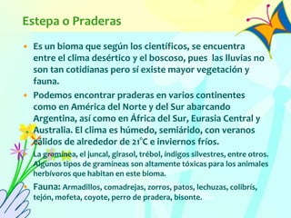 Estepa o Praderas
• Es un bioma que según los científicos, se encuentra
entre el clima desértico y el boscoso, pues las lluvias no
son tan cotidianas pero sí existe mayor vegetación y
fauna.
• Podemos encontrar praderas en varios continentes
como en América del Norte y del Sur abarcando
Argentina, así como en África del Sur, Eurasia Central y
Australia. El clima es húmedo, semiárido, con veranos
cálidos de alrededor de 21°C e inviernos fríos.
• La gramínea, el juncal, girasol, trébol, índigos silvestres, entre otros.
Algunos tipos de gramíneas son altamente tóxicas para los animales
herbívoros que habitan en este bioma.
• Fauna: Armadillos, comadrejas, zorros, patos, lechuzas, colibrís,
tejón, mofeta, coyote, perro de pradera, bisonte.
 