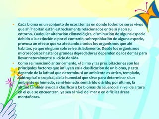 • Cada bioma es un conjunto de ecosistemas en donde todos los seres vivos
que ahí habitan están estrechamente relacionados entre sí y con su
entorno. Cualquier alteración climatológica, disminución de alguna especie
debido a la extinción o por el contrario, sobrepoblación de alguna especie,
provoca un efecto que va afectando a todos los organismos que ahí
habitan, ya que ninguno sobrevive aisladamente. Desde los organismos
microscópicos hasta los grandes depredadores dependen de los demás para
llevar naturalmente su ciclo de vida.
• Como se mencionó anteriormente, el clima y las precipitaciones son los
principales factores que influyen en la clasificación de un bioma, y esto
depende de la latitud que determina si un ambiente es ártico, templado,
subtropical o tropical, de la humedad que sirve para determinar si un
ambiente es húmedo, semi-húmedo, semiárido o árido; por último, la
altitud también ayuda a clasificar a los biomas de acuerdo al nivel de altura
en el que se encuentran, ya sea al nivel del mar o en difíciles áreas
montañosas.
 