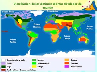Distribución de los distintos Biomas alrededor del
mundo
 