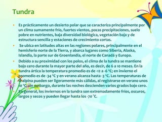 Tundra
• Es prácticamente un desierto polar que se caracteriza principalmente por
un clima sumamente frío, fuertes vientos, pocas precipitaciones, suelo
pobre en nutrientes, baja diversidad biológica, vegetación baja y de
estructura sencilla y estaciones de crecimiento cortas.
• Se ubica en latitudes altas en las regiones polares, principalmente en el
hemisferio norte de la Tierra, y abarca lugares como Siberia, Alaska,
Islandia, la parte sur de Groenlandia, el norte de Canadá y Europa.
• Debido a su proximidad con los polos, el clima de la tundra se mantiene
bajo cero durante la mayor parte del año, es decir, de 6 a 10 meses. En la
tundra ártica la temperatura promedio es de -12 a -6 ºC; en invierno el
promedio es de -34 ºC y en verano alcanza hasta -3 ºC. Las temperaturas de
la alpina pueden ser ligeramente más cálidas, al registrarse en verano unos
10 ºC; sin embargo, durante las noches descienden varios grados bajo cero.
• En general, los inviernos en la tundra son extremadamente fríos, oscuros,
largos y secos y pueden llegar hasta los -70 °C.
 