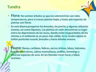 Tundra
• Flora: No existen árboles ya que no sobrevivirían con tales
temperaturas, pero sí crecen plantas bajas y hasta 400 especies de
plantas con flores
• En este bioma prosperan los brezales, las juncias y algunos arbustos
enanos, así como líquenes. Las plantas en cojín encuentran su lugar
entre las depresiones de las rocas, donde están resguardadas de los
vientos y el ambiente es un poco más cálido. En la tundra alpina se
hallan pastizales tussok, brezales y hasta árboles enanos.
• Fauna: Renos, caribúes, liebres, zorros árticos, lobos, halcones,
bueyes almizcleros, cabras montañesas, ardillas, lemmings y
diversas especies de aves. En los litorales viven focas y lobos
marinos.
 